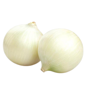 Cipolla Bianca