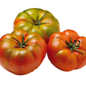 Pomodori costoluto