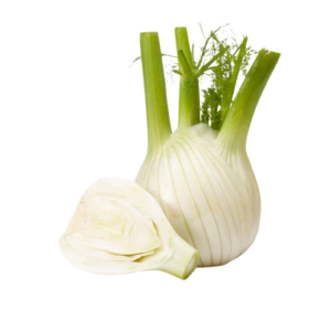 Finocchi