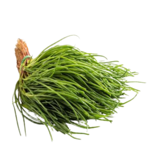 Agretti