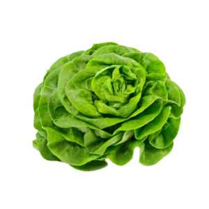 Insalata Cappuccina