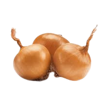 Cipolla Dorata