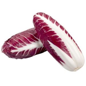 Radicchio Trevigiano