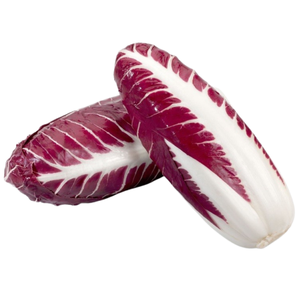 Radicchio Trevigiano