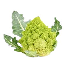 Broccoli Romaneschi