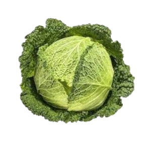 Verza Riccia