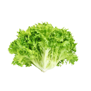 Scarola