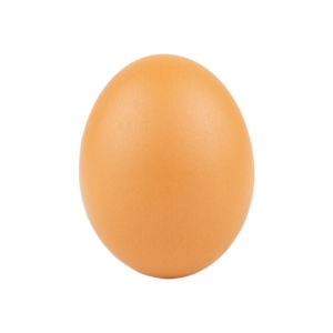 Uova Fresche