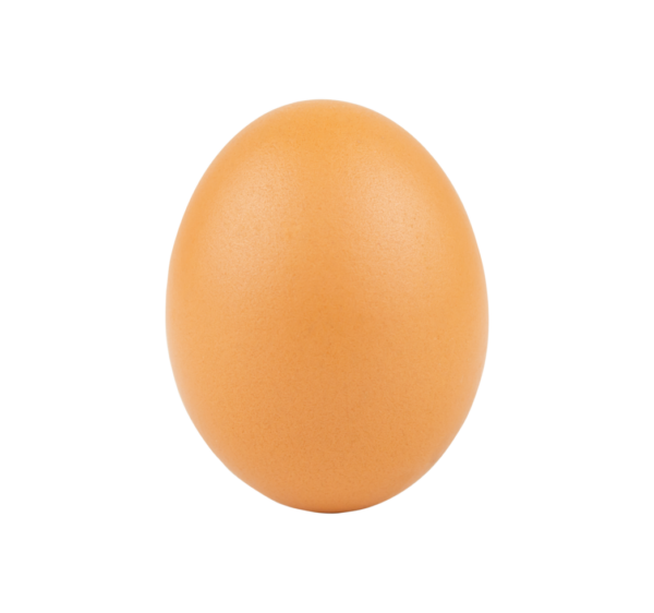 Uova Fresche